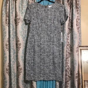 Calvin Klein Dress